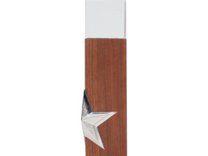 Trofeo de madera y cristal Trofeo de madera y cristal