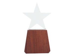 Trofeo de Madera y Cristal "Lonely Star"