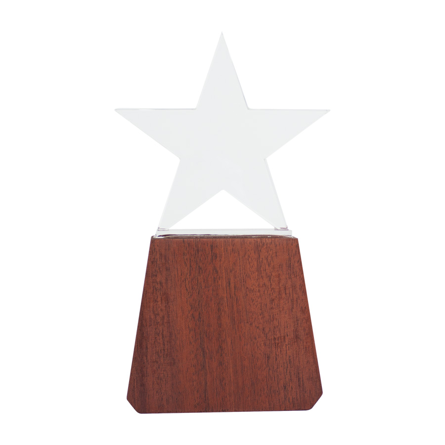 Trofeo de lonely star Trofeo de lonely star - vista 2