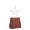 Trofeo de lonely star Trofeo de lonely star