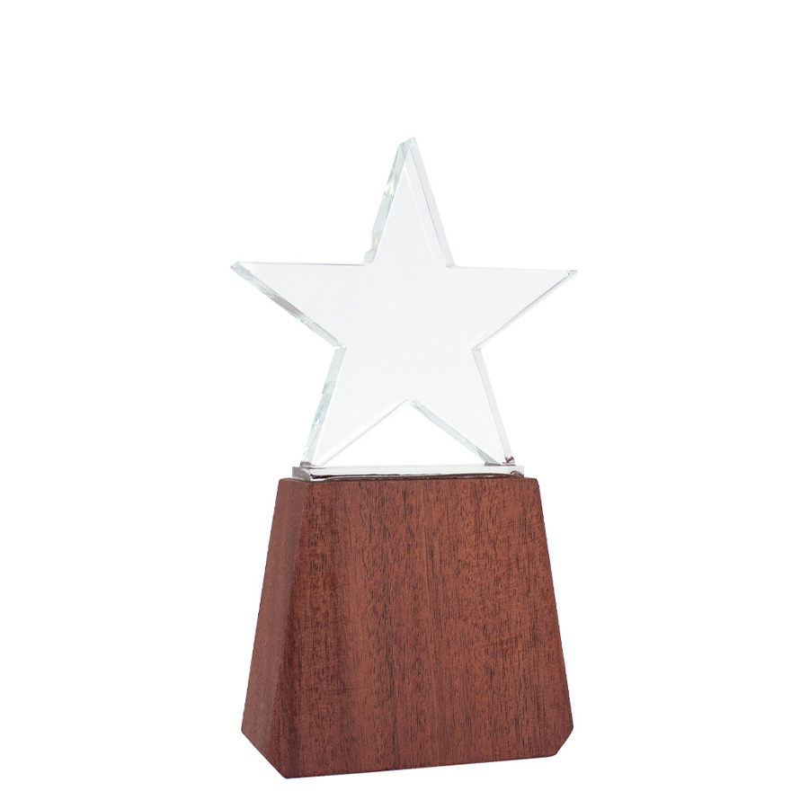 Trofeo de lonely star Trofeo de lonely star