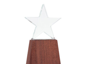 Trofeo de lonely star