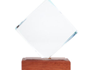 Trofeo galvano de madera y cristal Trofeo galvano de madera y cristal - vista 2