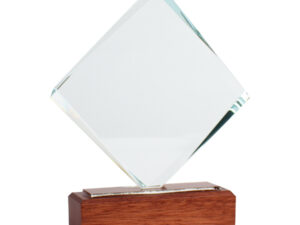 Trofeo galvano de madera y cristal Trofeo galvano de madera y cristal - vista 3