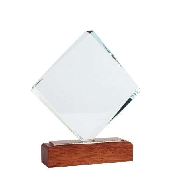 Trofeo galvano de madera y cristal