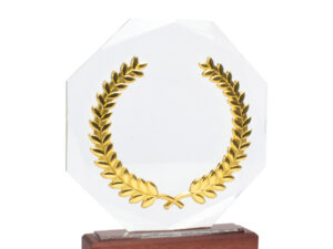 Trofeo galvano de madera, cristal y acero