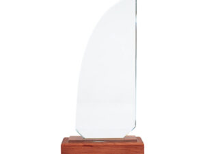 Trofeo galvano de madera y cristal Trofeo galvano de madera y cristal