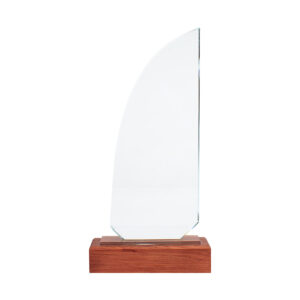 Trofeo galvano de madera y cristal Trofeo galvano de madera y cristal - vista 2