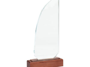 Trofeo galvano de madera y cristal Trofeo galvano de madera y cristal
