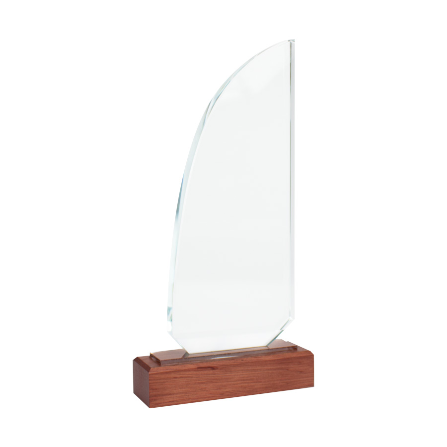 Trofeo galvano de madera y cristal Trofeo galvano de madera y cristal - Imagen 3