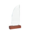 Trofeo galvano de madera y cristal