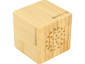 Usb parlante de bamboo