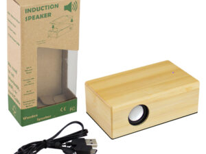 Parlante inducción de bamboo