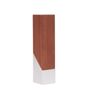 Bloque trofeo de acero y madera lukas - vista 3