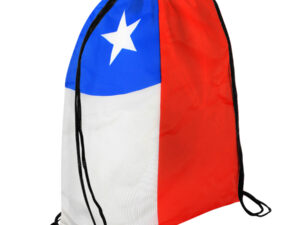 Bolsa ecológica ecológica bandera