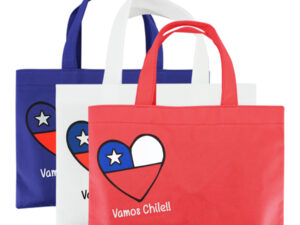 Bolsa tnt vamos chile