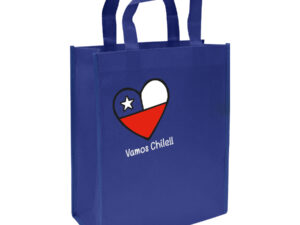 Bolsa tnt vamos chile