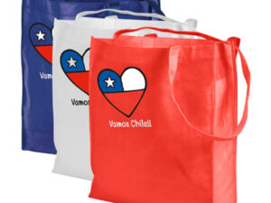 Bolsa tnt vamos chile