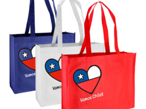 Bolsa tnt vamos chile