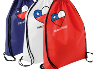 Mochila tipo morral vamos chile!!