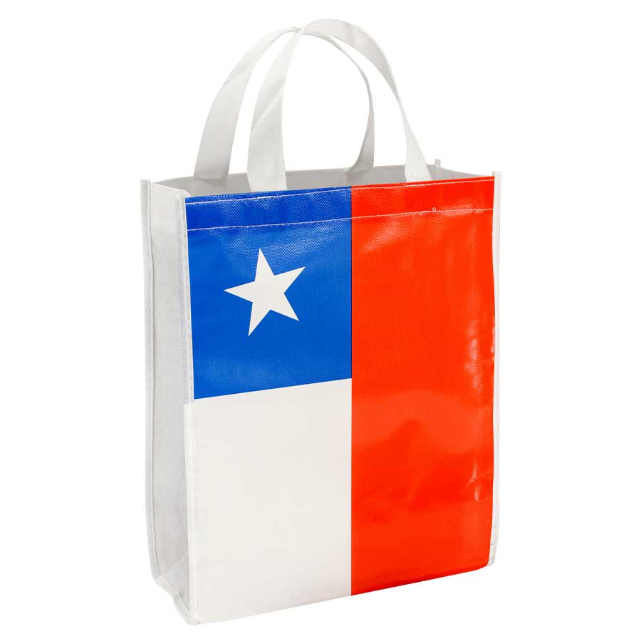 Bolsa ecológica ecólogica chilena Bolsa ecológica ecólogica chilena
