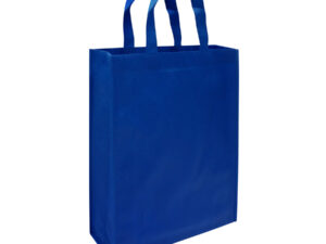 Bolsa ecológica congreso