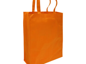 Bolsa ecológica congreso