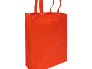 Bolsa ecológica congreso