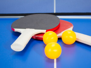 Mesa de Mini Ping-Pong plegable