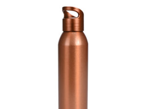 Botella metálica aglu 650cc