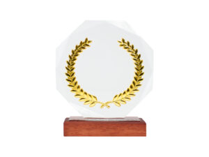 Trofeo galvano de madera, cristal y acero