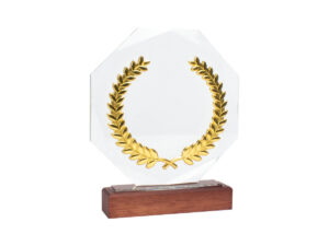 Trofeo galvano de madera, cristal y acero