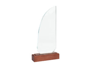 Trofeo Galvano De Madera Y Cristal