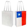 Bolsa Ecológica Compras Chilena Bolsa Ecológica Compras Chilena