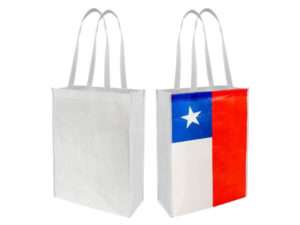 Bolsa Ecológica Compras Chilena