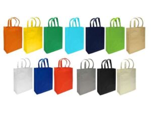 Bolsa Ecológica Congreso