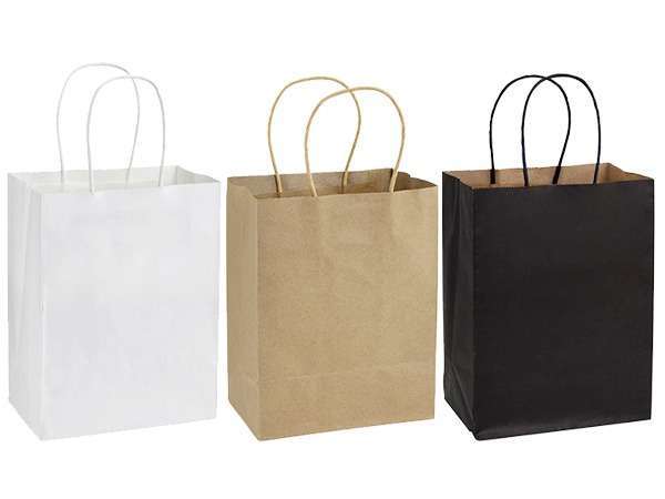 Bolsa Papel 15x20x10 Bolsa Papel 15x20x10