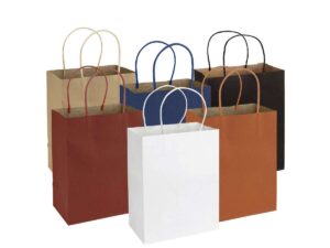 Bolsa papel 20x26x12