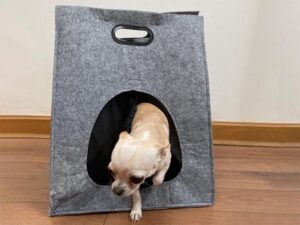 Bolso De Fieltro Porta-Mascota