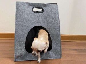 Bolso De Fieltro Porta-Mascota