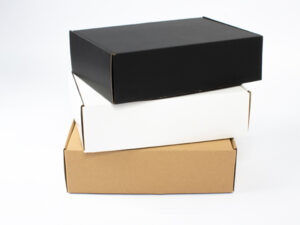 Caja autoarmable 32x22x9 cm