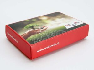 Caja Kit Bienvenida 16 X 12 X 3 Cms