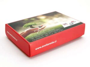 Caja Kit Bienvenida 16 X 12 X 3 Cms