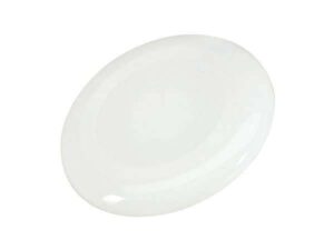 Frisbee Plástico Frisbee Plástico