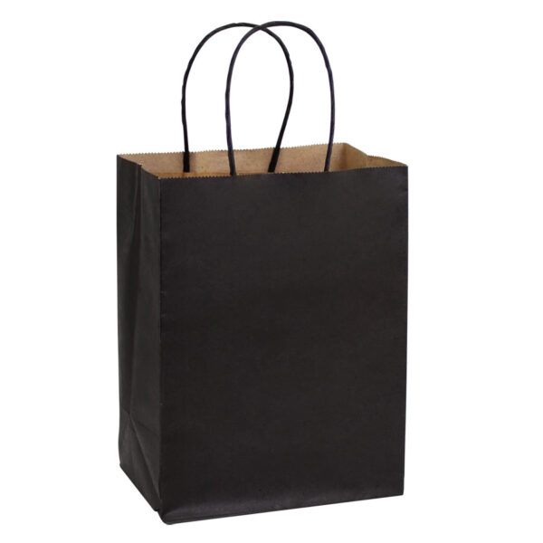 Bolsa papel 15x20x10 Bolsa papel 15x20x10 - vista 4