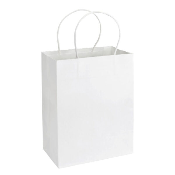 Bolsa papel 20x26x12 - vista 2