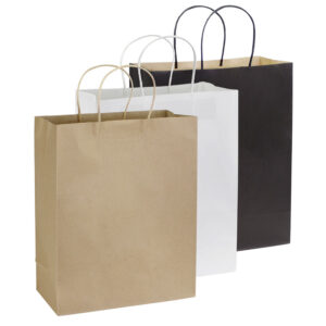 Bolsa papel 28x36x13