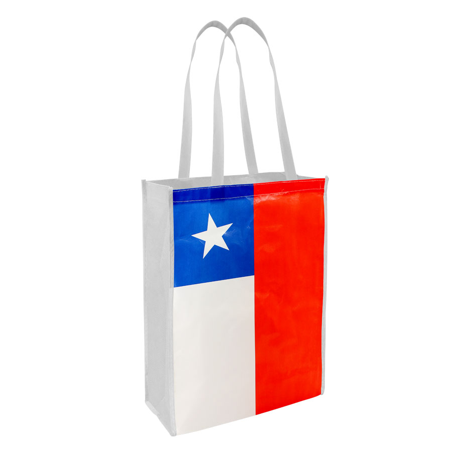 Bolsa ecológica compras chilena Bolsa ecológica compras chilena