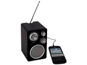 Parlante Altavoz Con Radio Fm