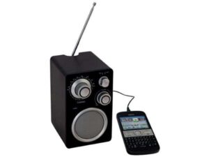 Parlante altavoz con radio FM